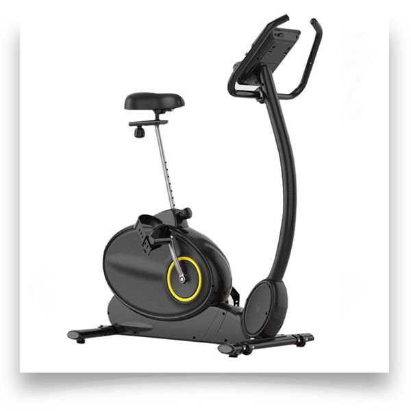 دوچرخه ثابت خانگی تایگر اسپرت مدل Tiger Sport TS-1901